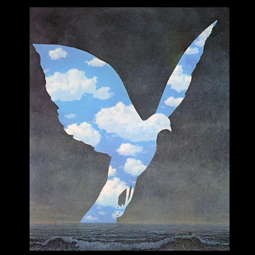 Cover of See