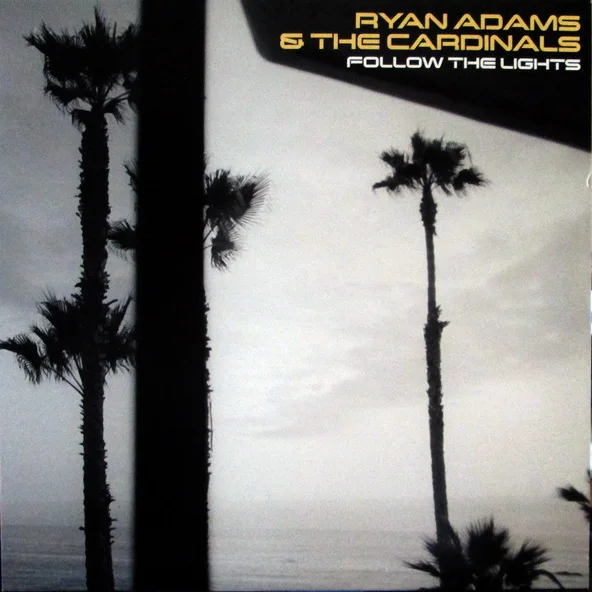 Cover of Follow The Lights