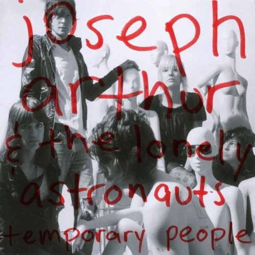 Cover of Temporary People