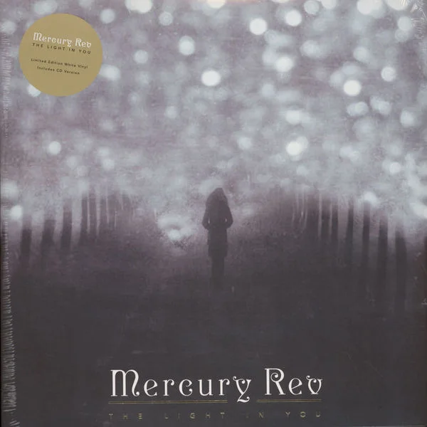 Cover of The Light In You
