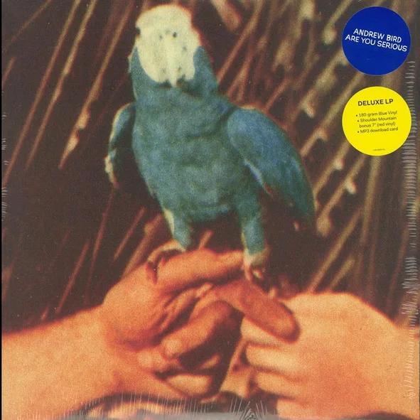 Cover of Are You Serious