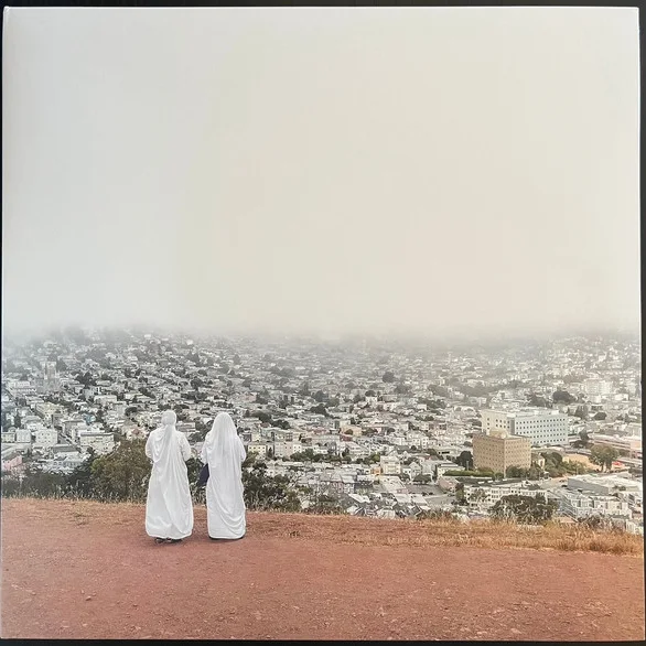 Cover of Asphalt Meadows