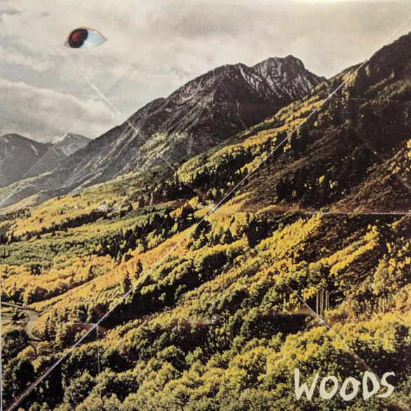 Cover of Songs Of Shame