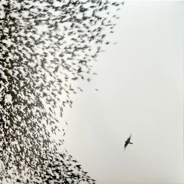 Cover of Sky Blue Sky