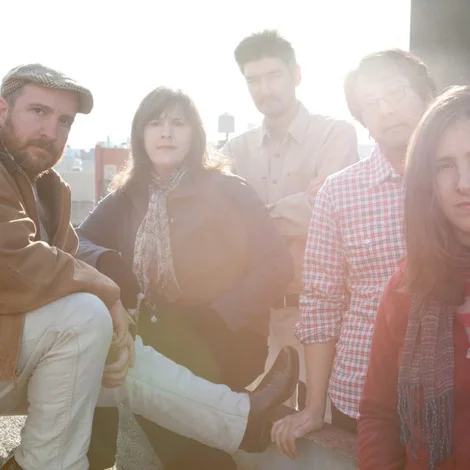The Magnetic Fields